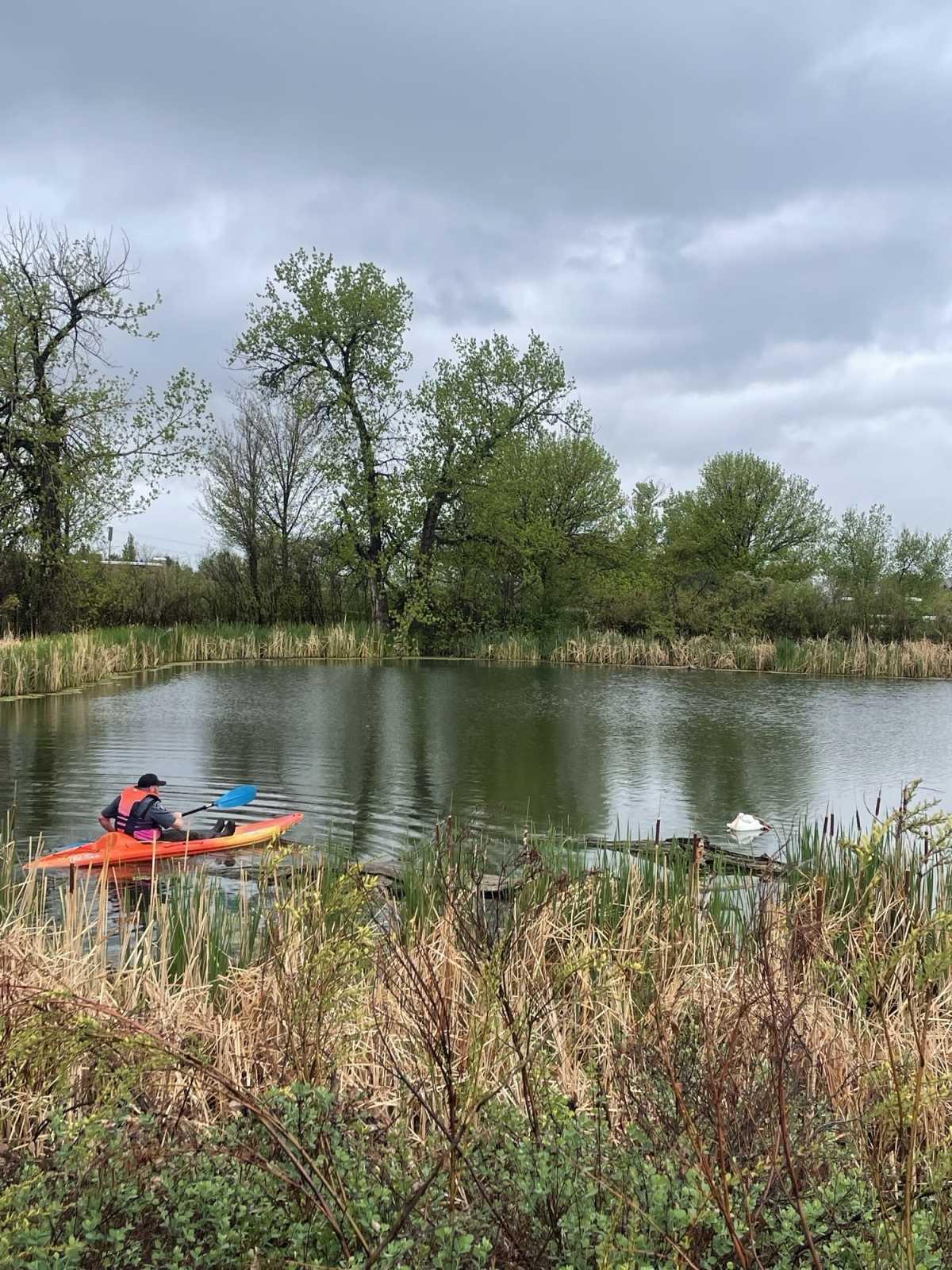 Animal Management Officer Saves of the Month Animal Management Officer Saves of the Month