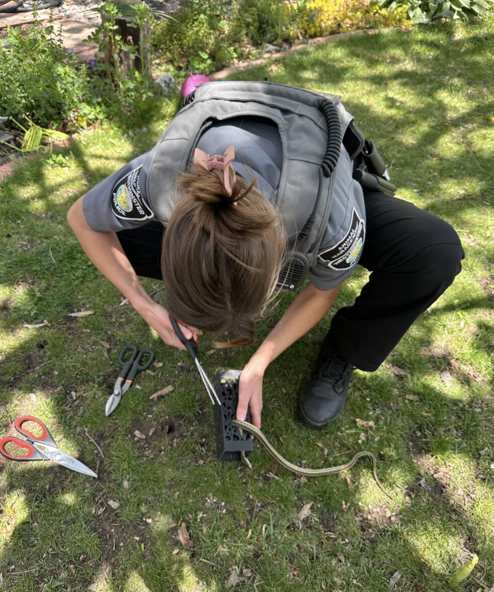 Animal Management Officer Saves of the Month Animal Management Officer Saves of the Month