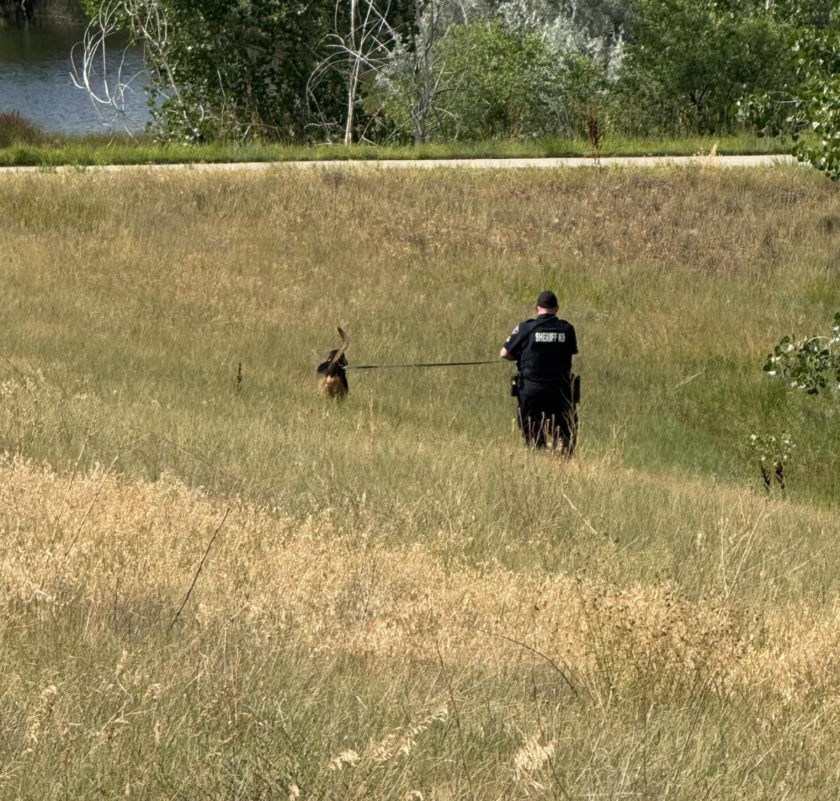 Investigation underway after possible human remains discovered Investigation underway after possible human remains discovered