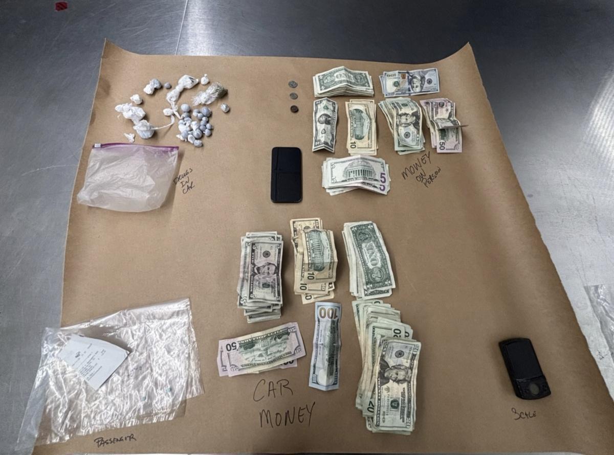 Traffic stop leads to two arrests