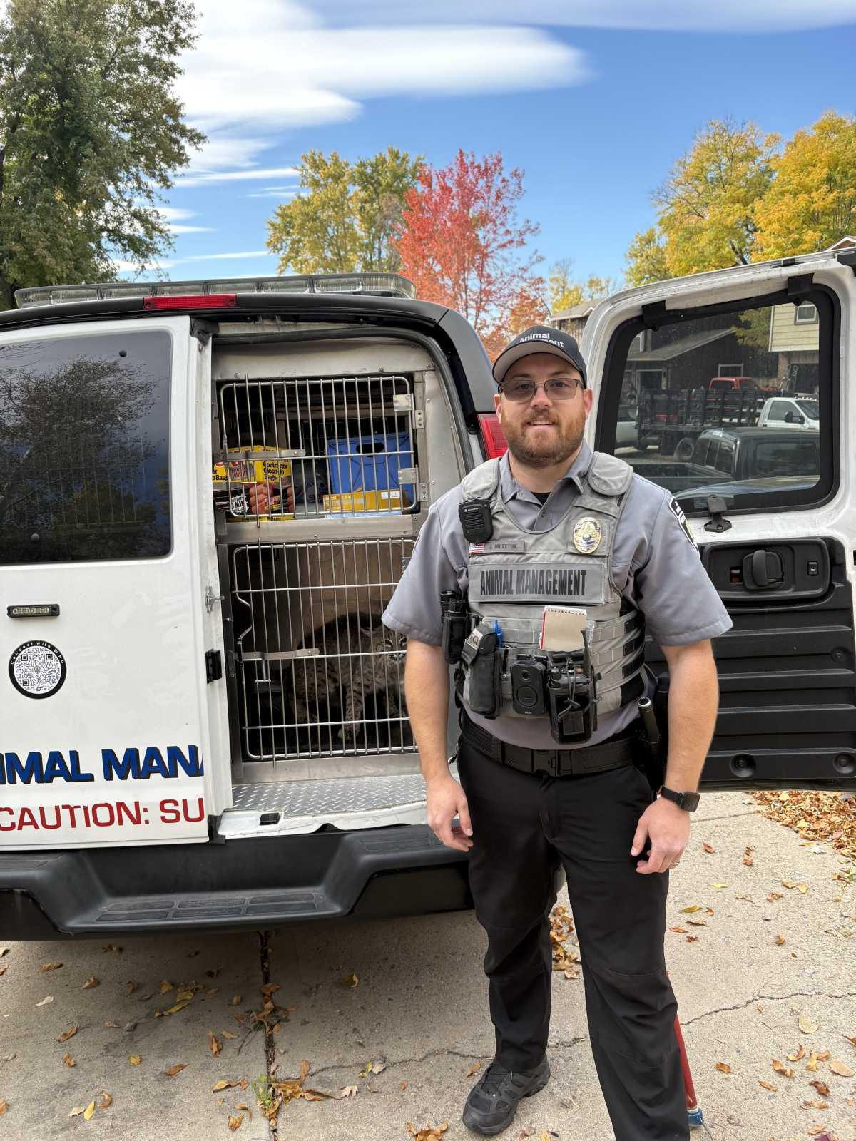 WPD Animal Management responds to bobcat call