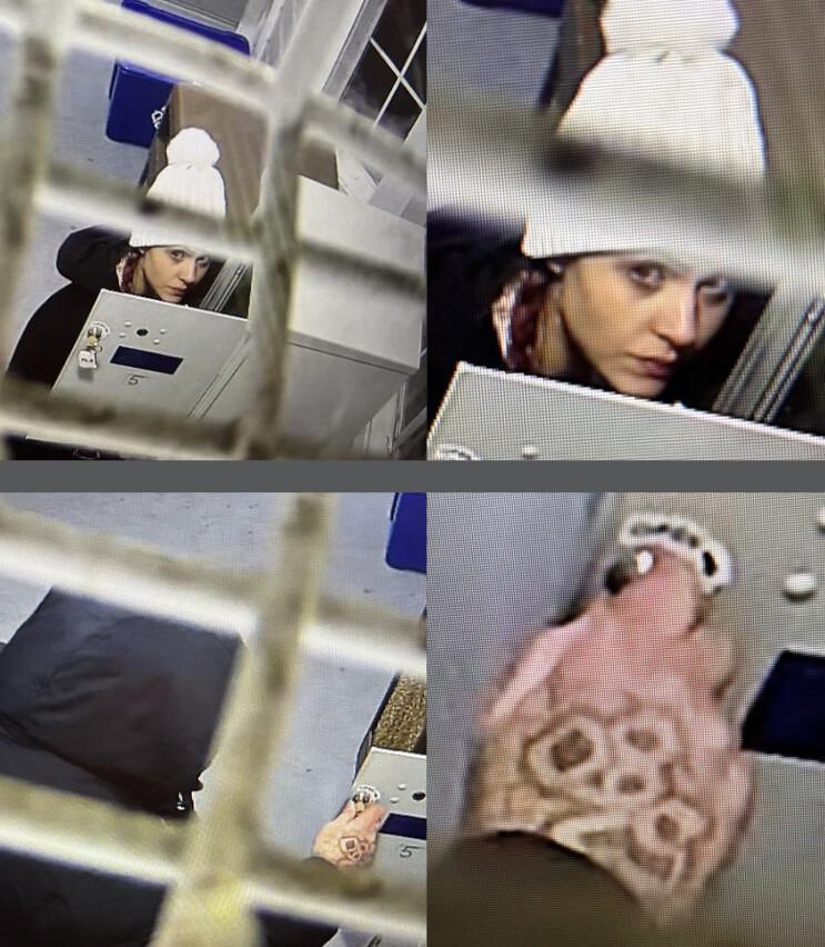 WPD searching for mail thieves