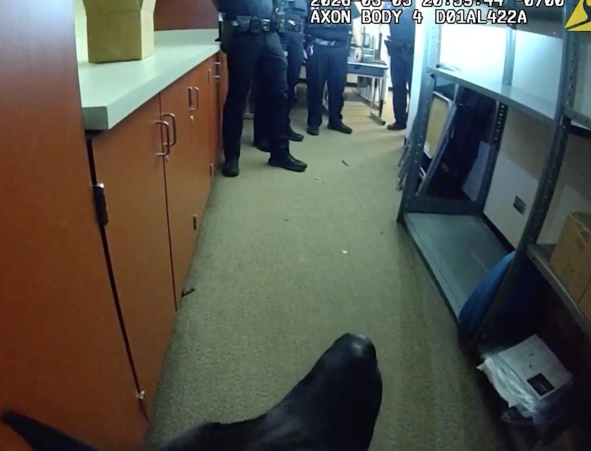 K9 Ferro alerts to suspects hiding in ceiling of building K9 Ferro alerts to suspects hiding in ceiling of building