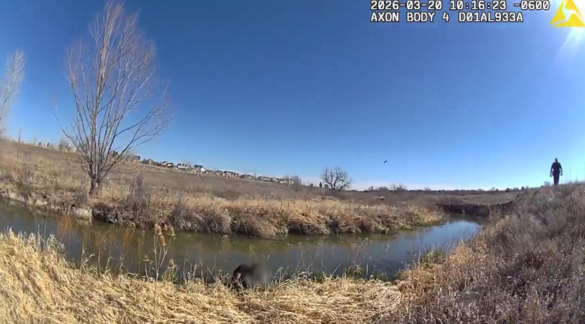 Driver takes off during traffic stop, runs into creek Driver takes off during traffic stop, runs into creek