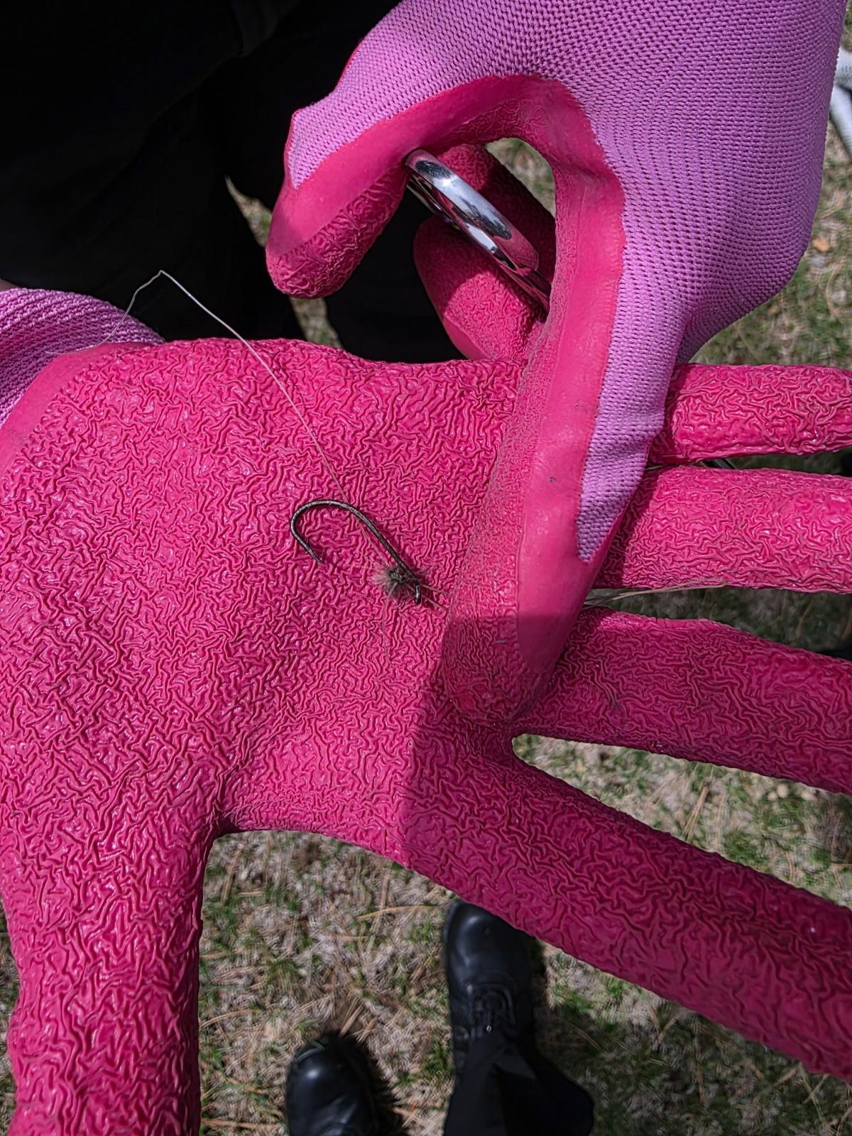 Animal Management Officers rescue two goslings Animal Management Officers rescue two goslings