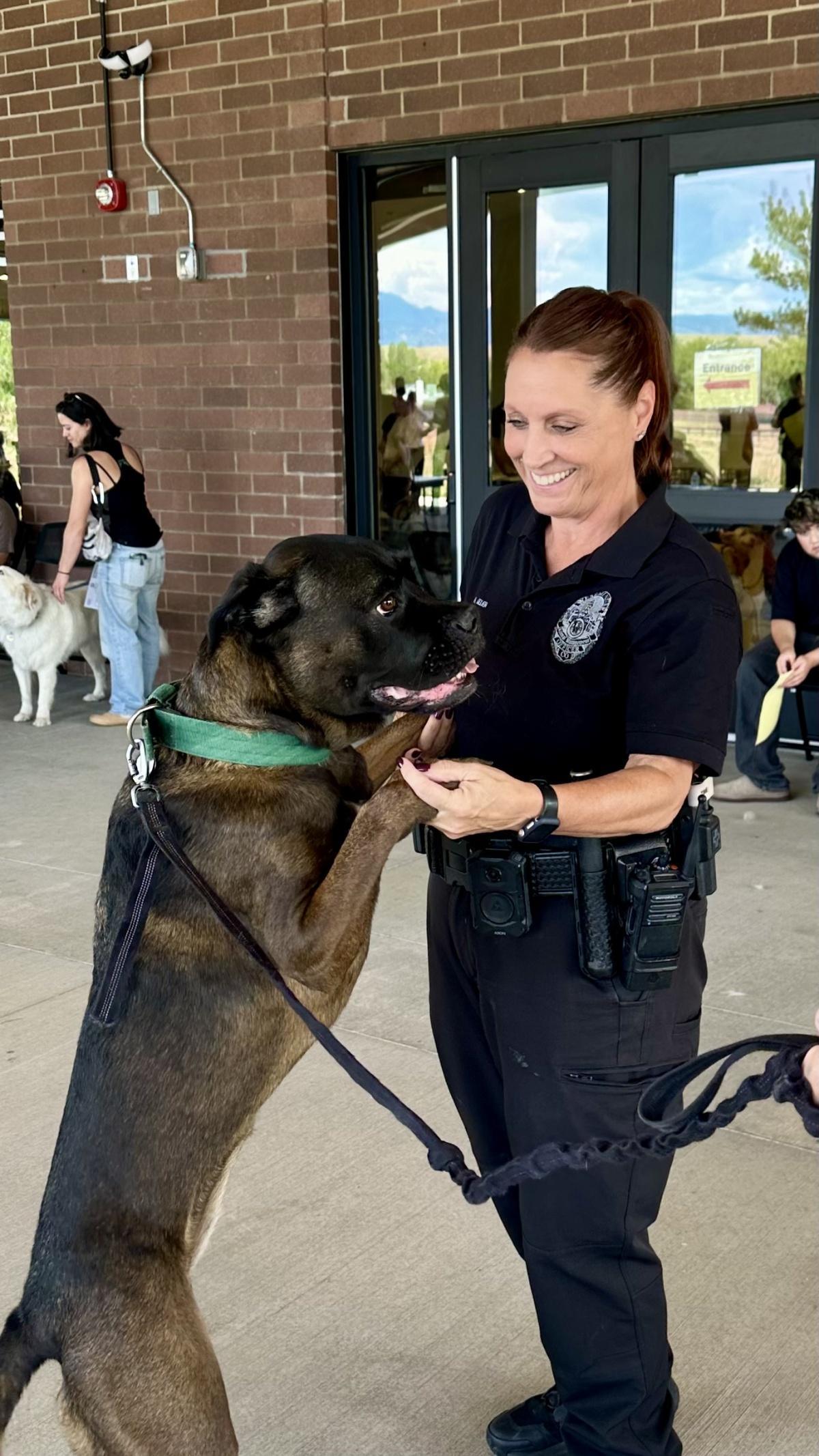 230 pets vaccinated at WPD Low Cost Pet Vaccination Clinic