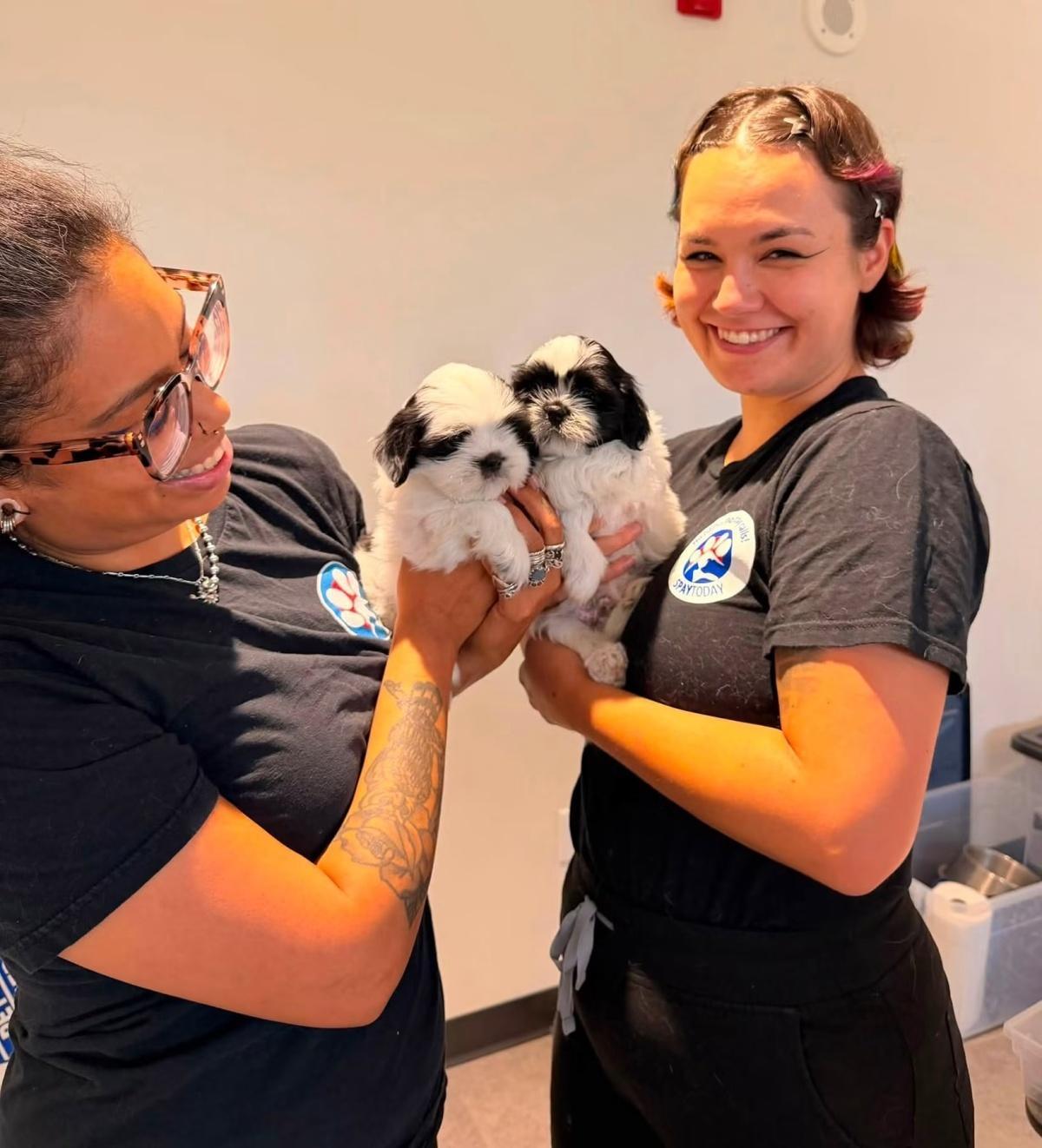 230 pets vaccinated at WPD Low Cost Pet Vaccination Clinic