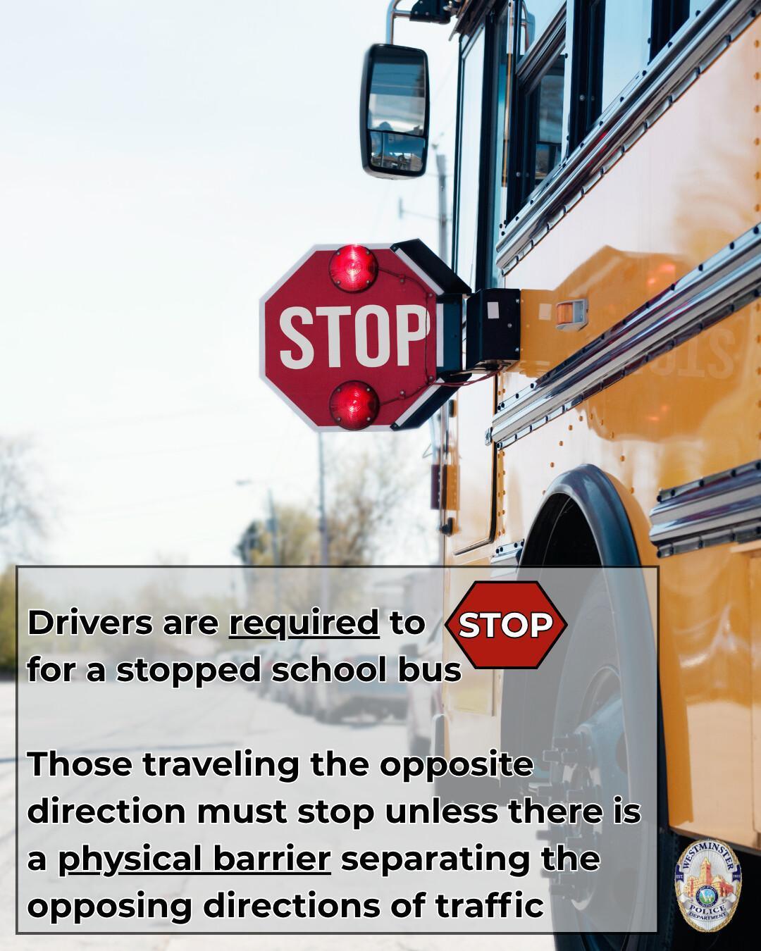 Back To School: School bus rules for drivers