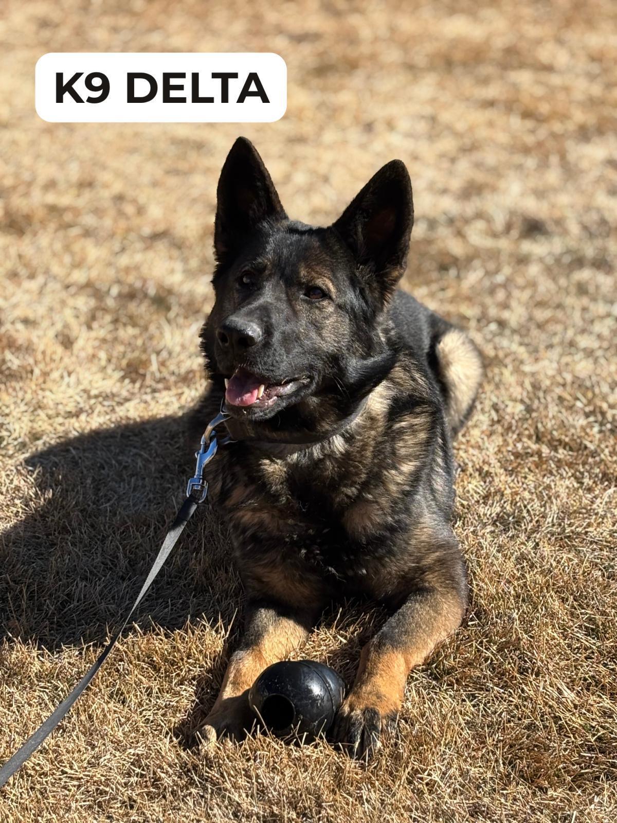WPD recognizes National Police K9 Day
