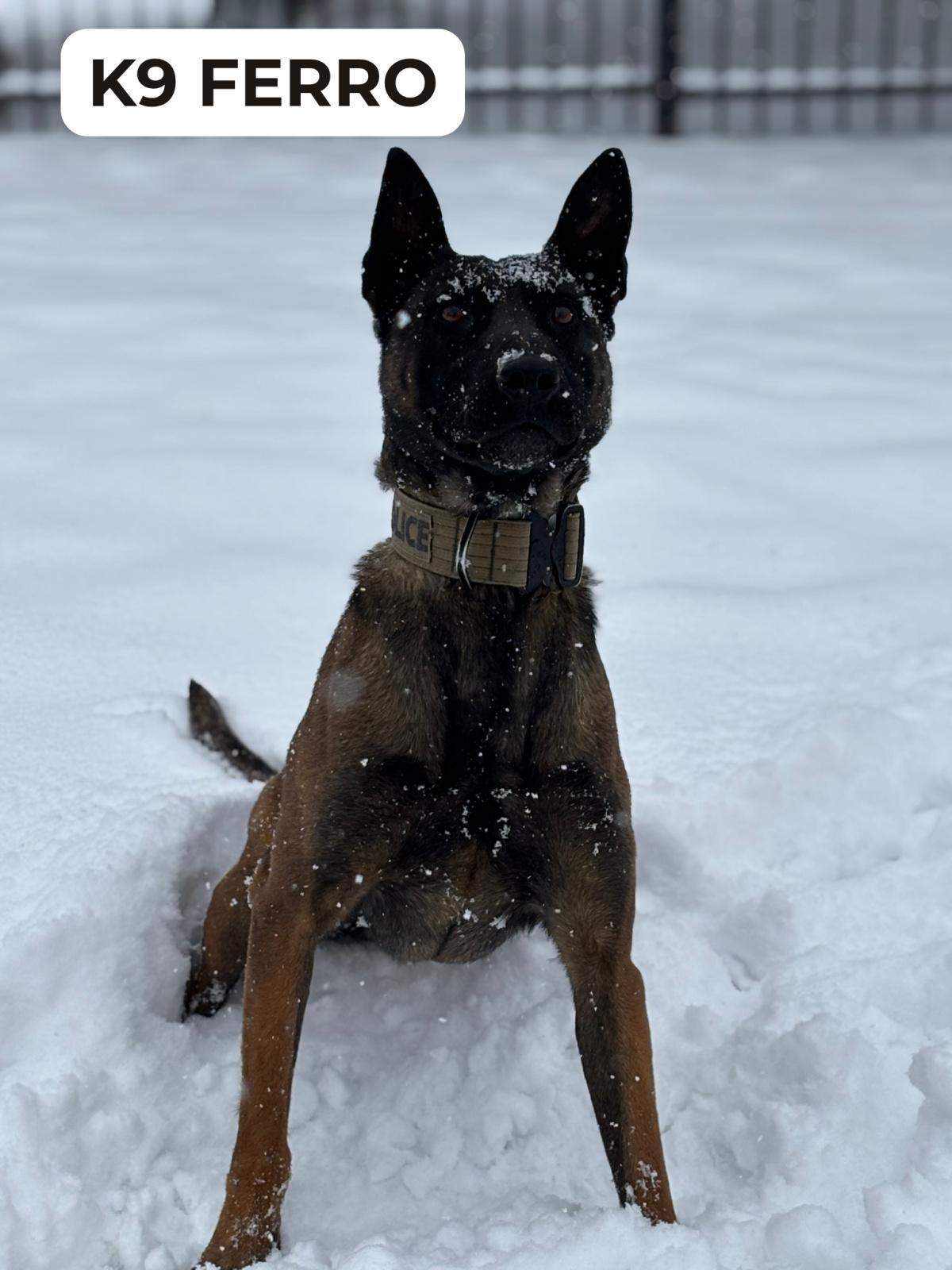 WPD recognizes National Police K9 Day WPD recognizes National Police K9 Day