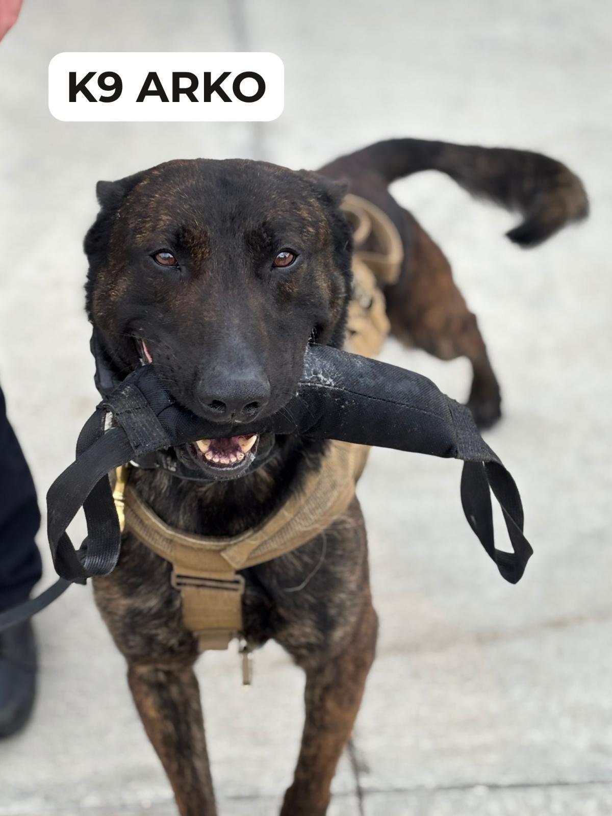 WPD recognizes National Police K9 Day