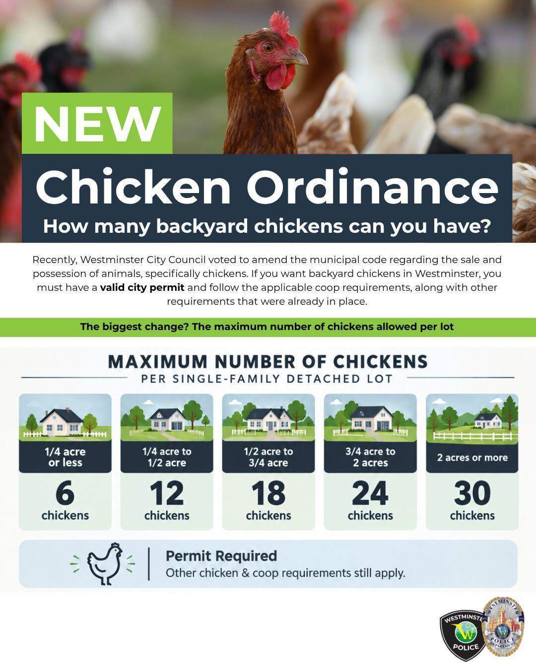 Changes announced to municipal code regarding the sale and possession of animals