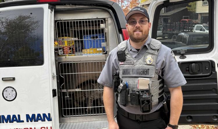 WPD Animal Management responds to bobcat call