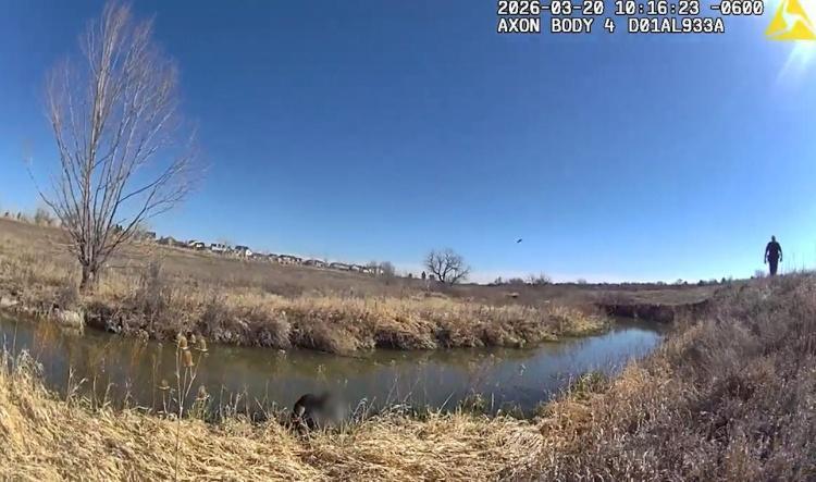Driver takes off during traffic stop, runs into creek