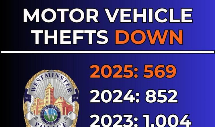 Stolen vehicle recovered across state lines