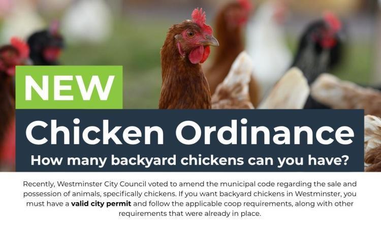 Changes announced to municipal code regarding the sale and possession of animals