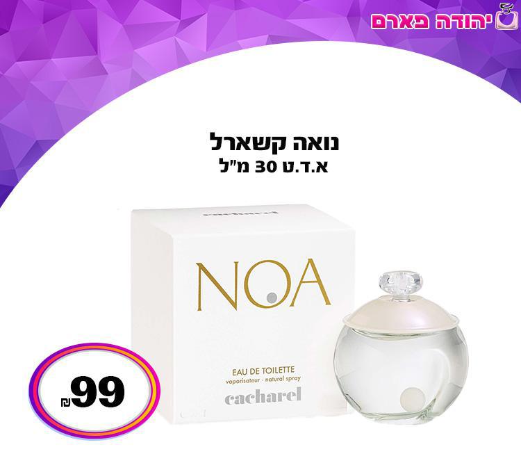 נואה קשארל 30