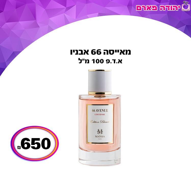 מאייסה 66 אבניו