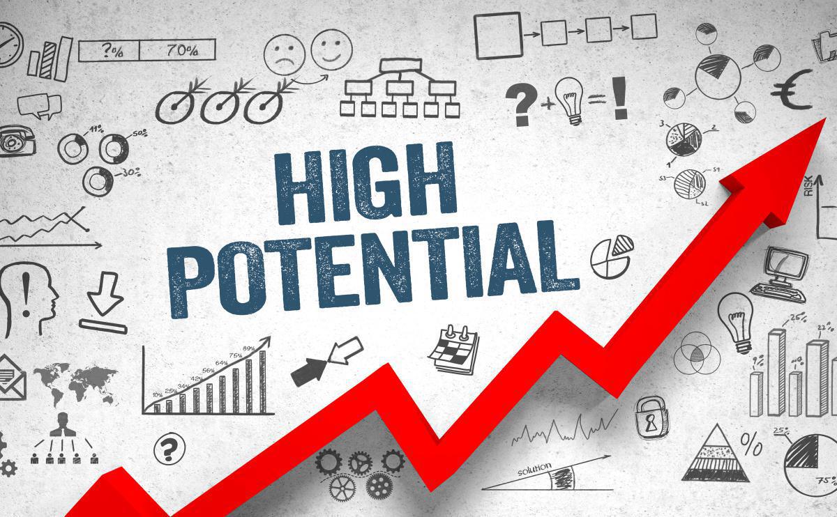Coaching Haut-Potentiel 