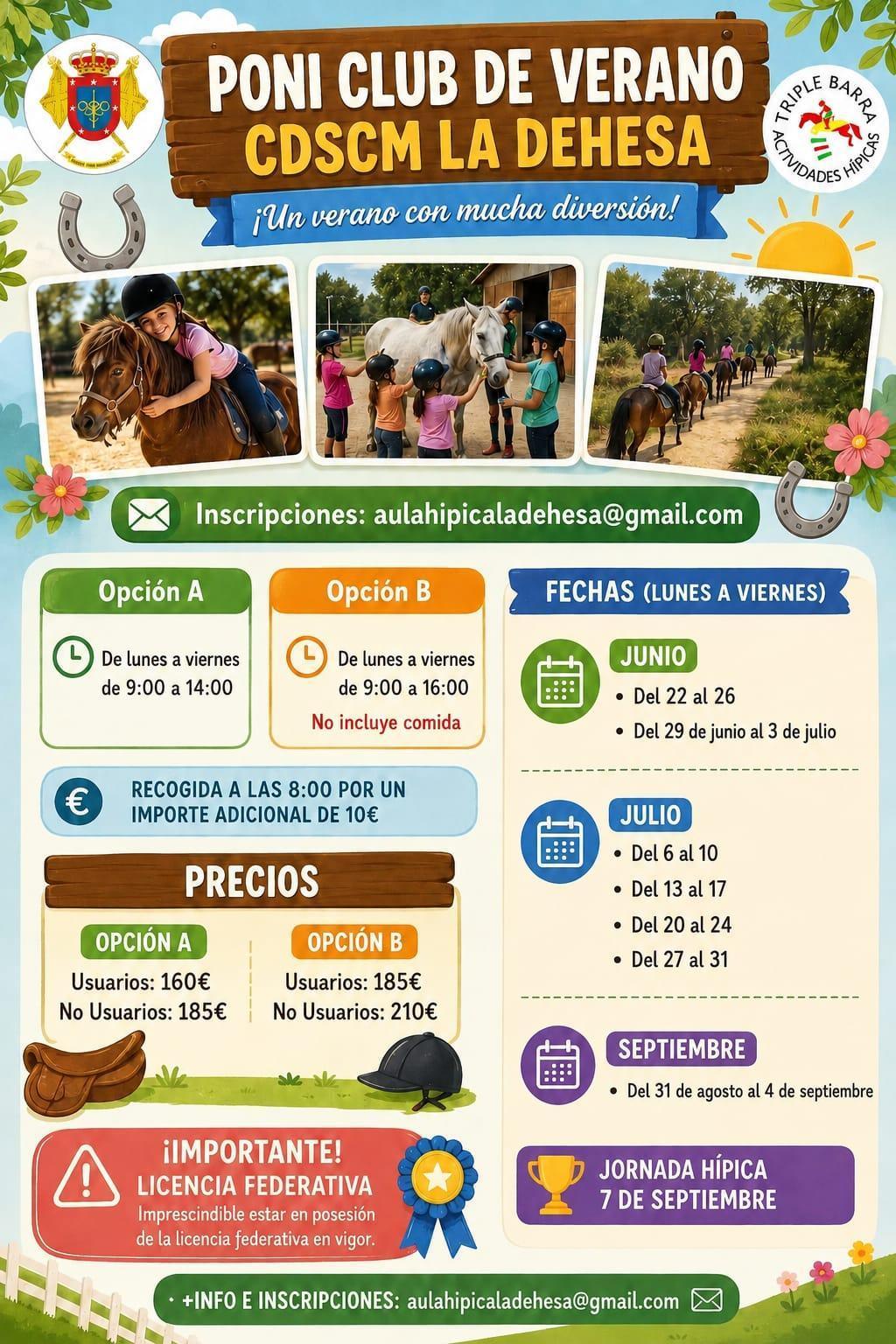 Poni club de verano hípica