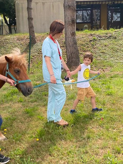 Des poneys au service de pédopsychiatrie