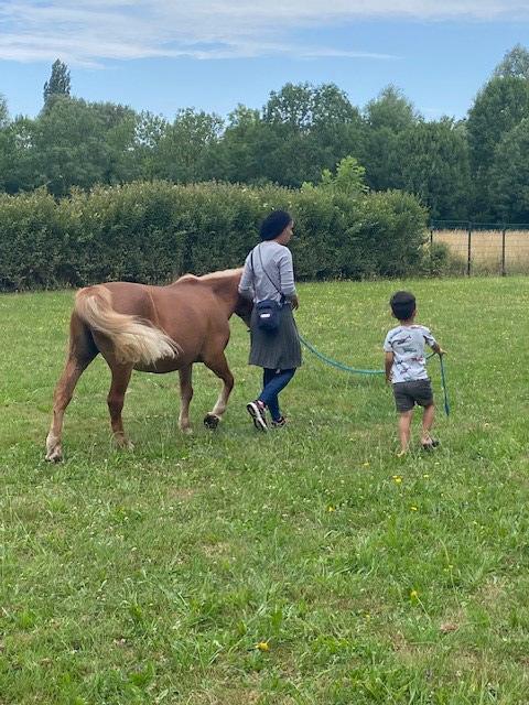 Des poneys au service de pédopsychiatrie