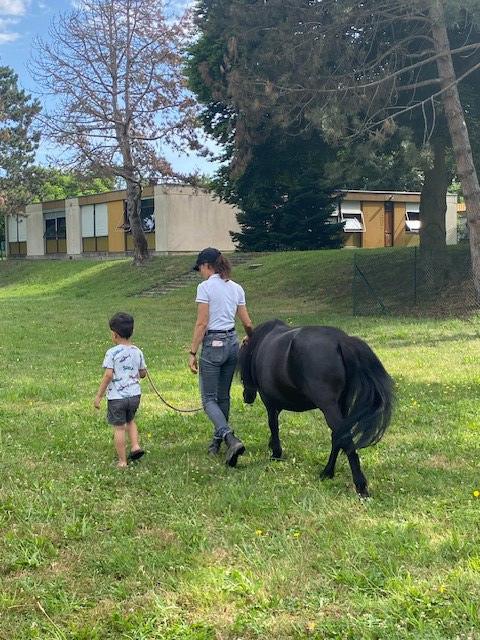 Des poneys au service de pédopsychiatrie