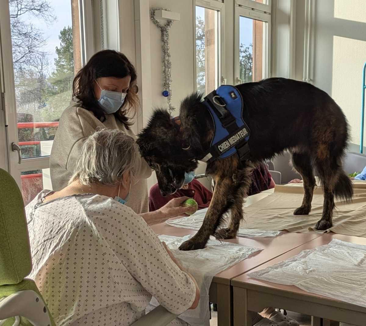 Retour sur les festivités de Noël du service de Soins Médicaux et de Réadaptation