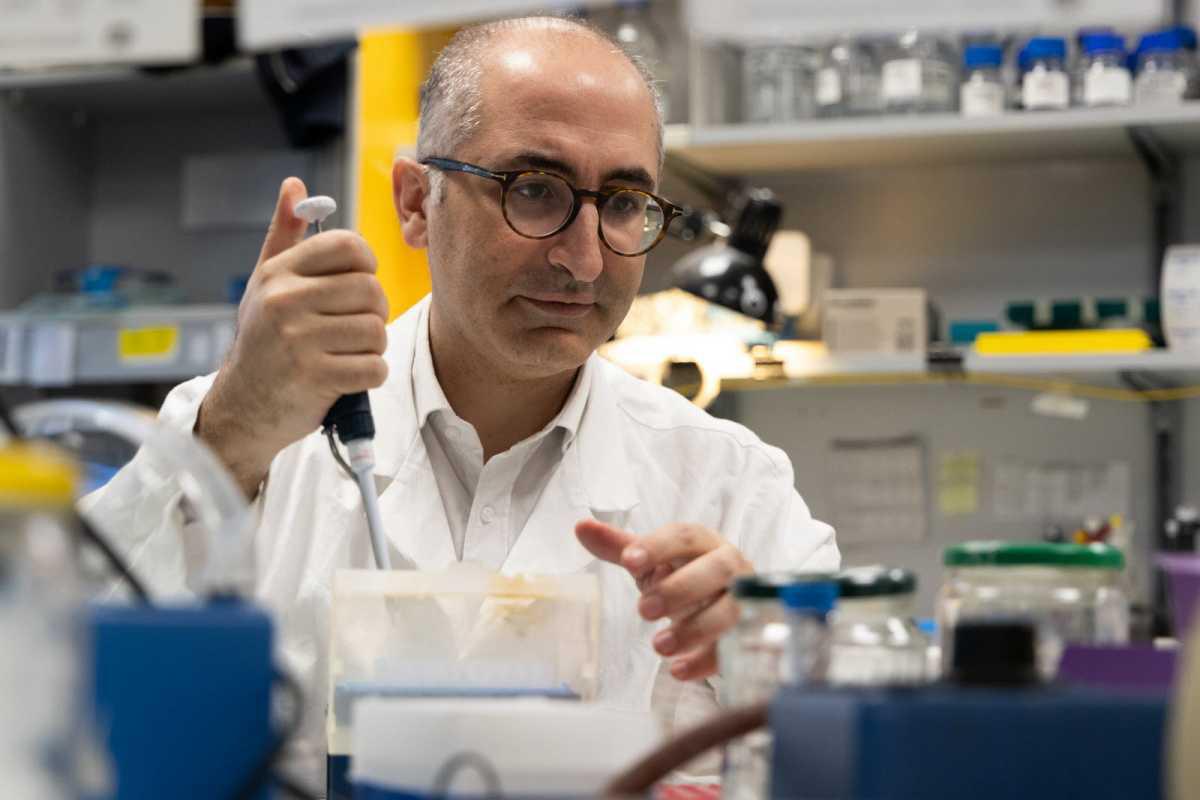 Des récompenses de haut niveau pour la recherche sur la cancérologie, les transplantations et la fibrose hépatique aux HUS 