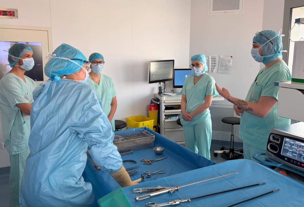 Seconde édition 2026 des journées portes ouvertes des HUS