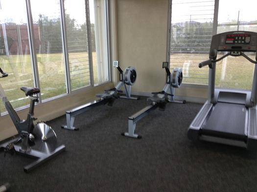 Gymnasium