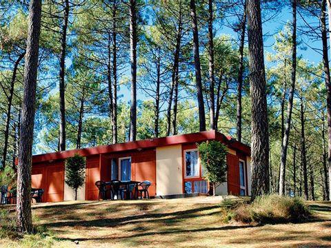 GGVie : note CSE Léon 2026 "moyenne saison"