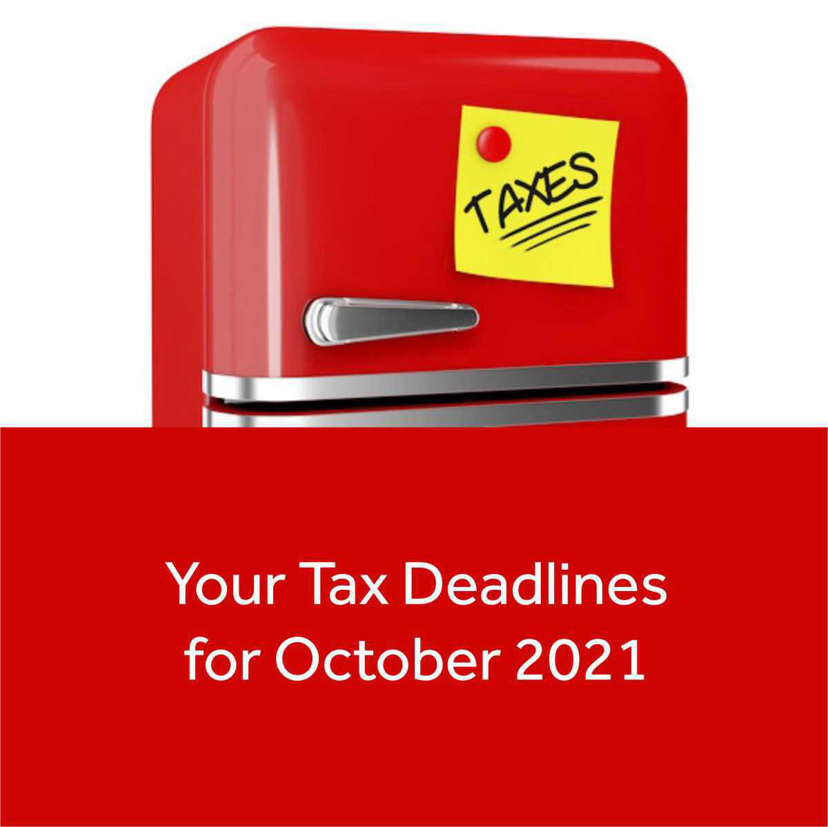 Dot News: October Articles Dot News: October Articles
