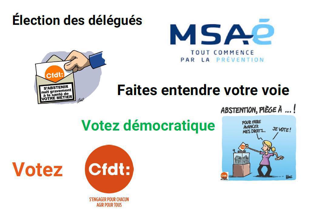 Elections MSAé du 06 au 16 Octobre 2025