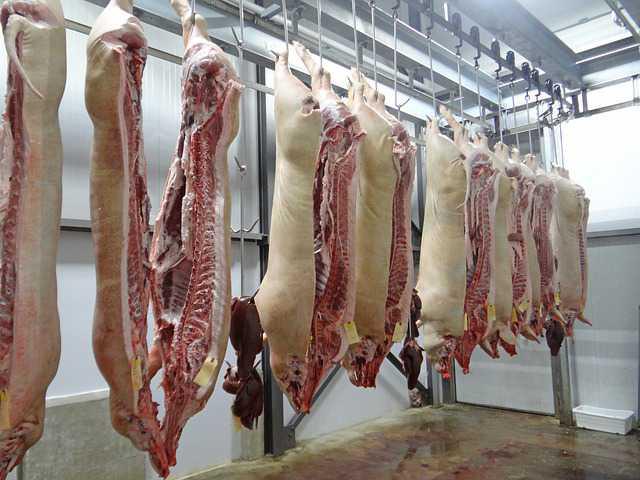 Socopa investit pour un jambon français de qualité