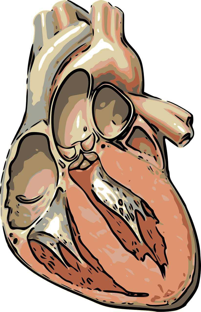 Endocardite infectieuse