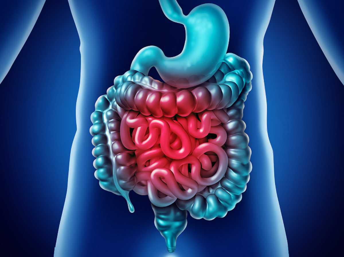 Infections abdominales