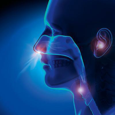 Infections ORL