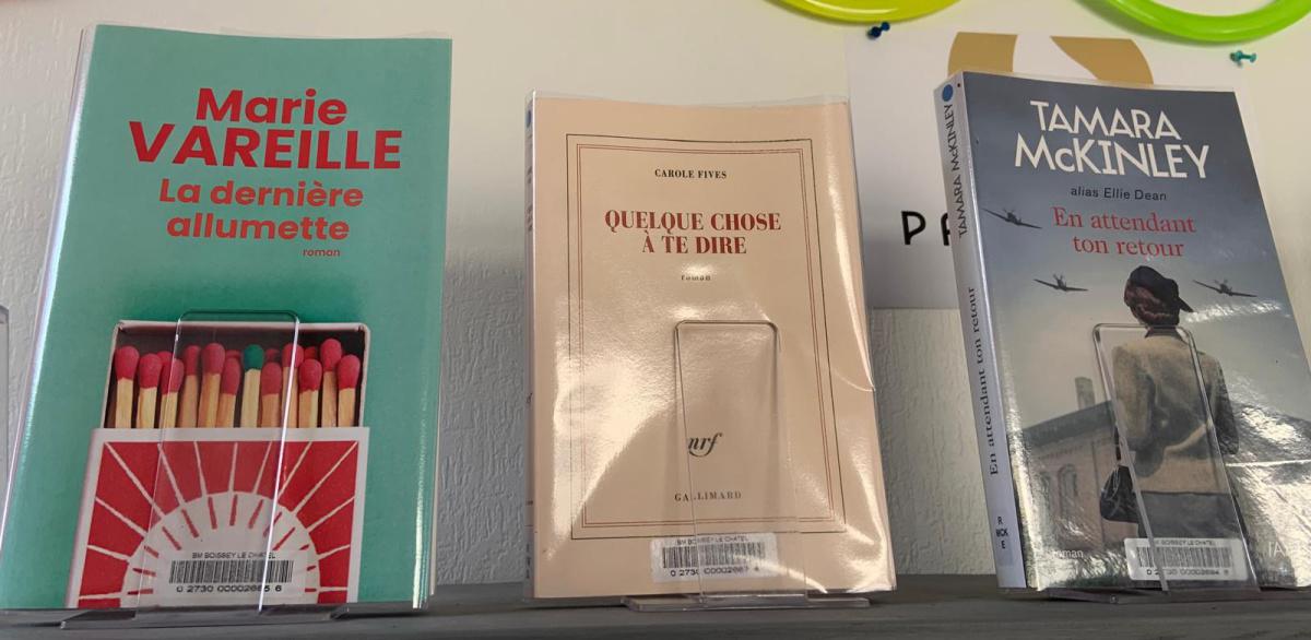 Les nouveautés à la bibliothèque 