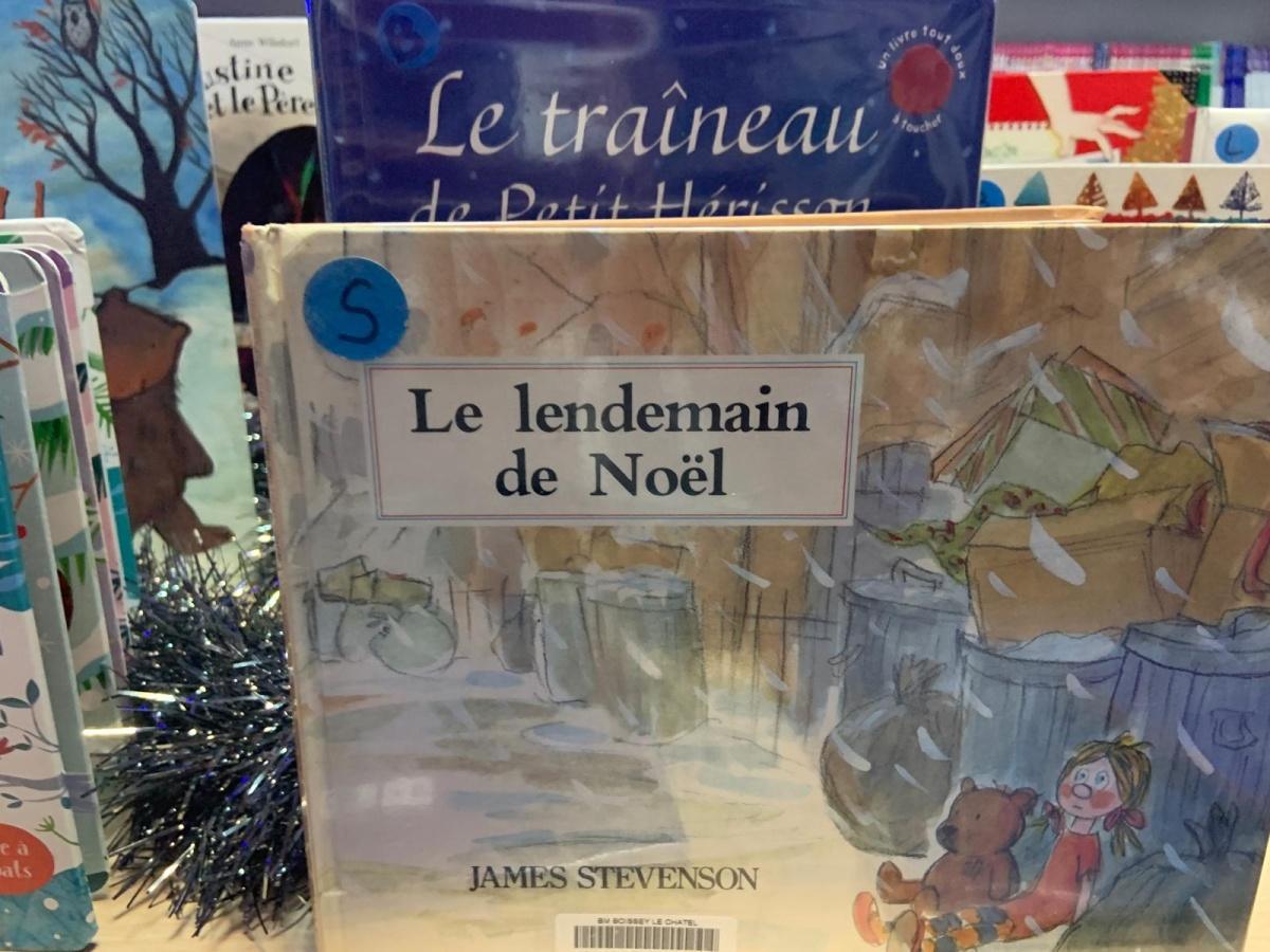 Les nouveautés à la bibliothèque 