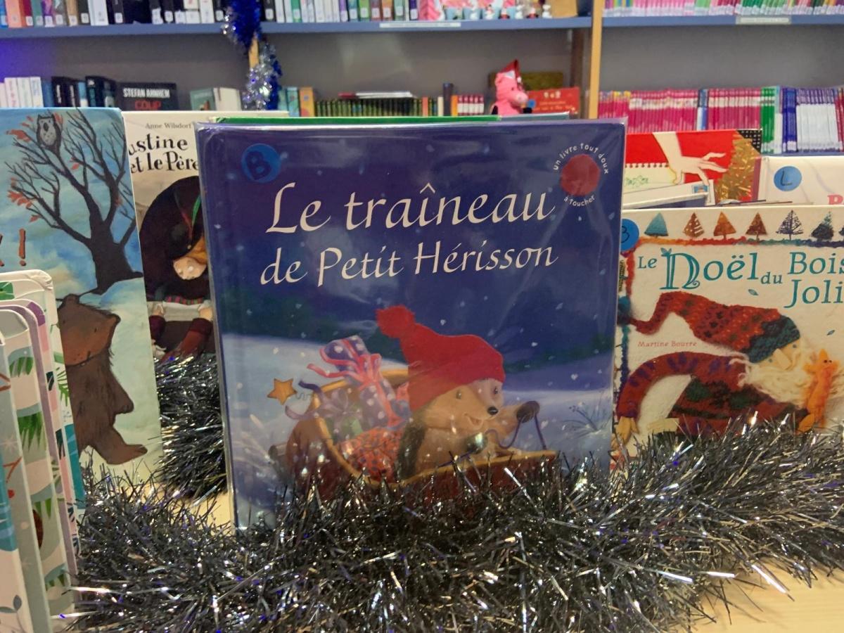 Les nouveautés à la bibliothèque 