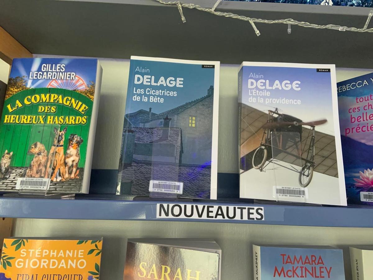 Les nouveautés à la bibliothèque 