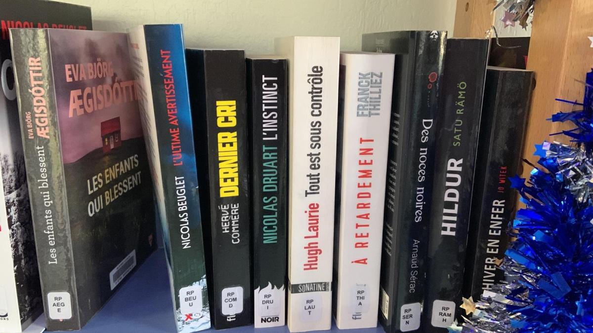 Les nouveautés à la bibliothèque 