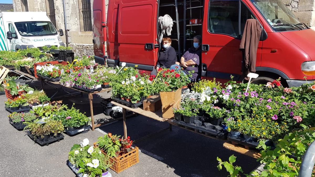 Vendeuse de fleurs de saisons et plants pour potager (Mme Doucet Véronique) 