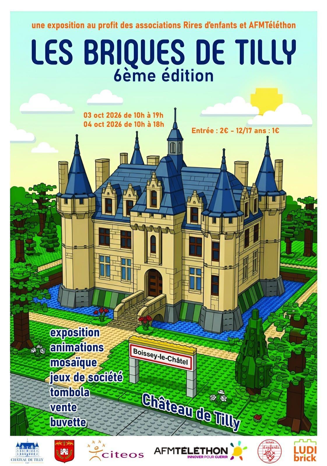 🧱✨ LES BRIQUES DE TILLY – 6ᵉ ÉDITION ! ✨🧱