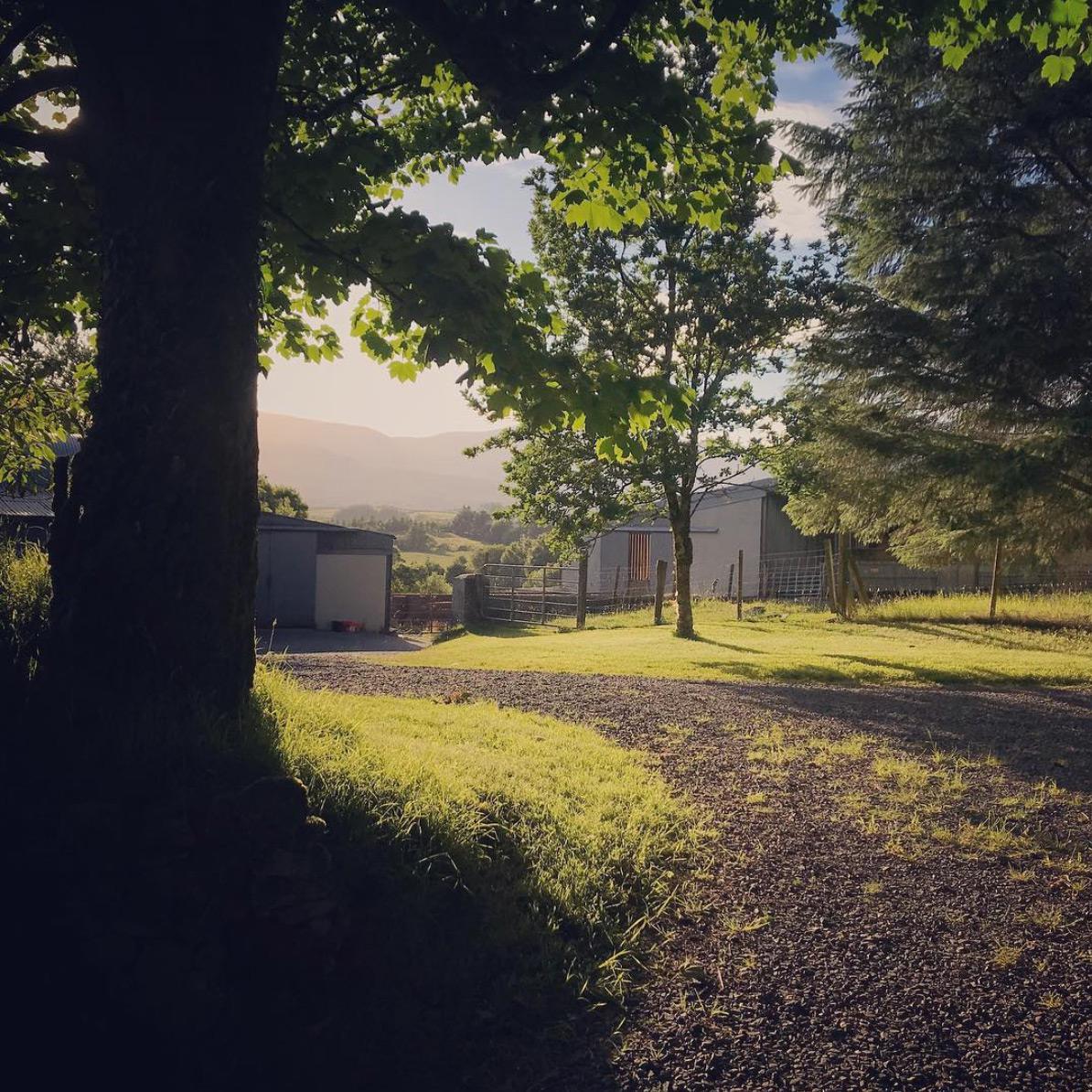 Farm at sunrise