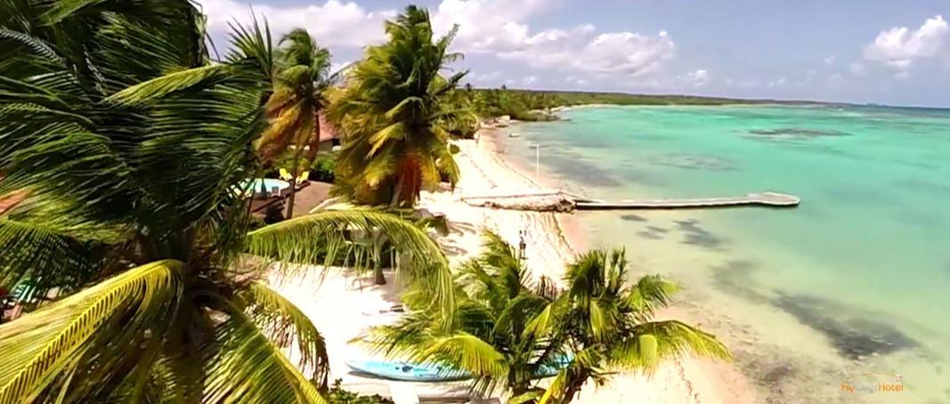 Vos vacances en Guadeloupe en promotion.