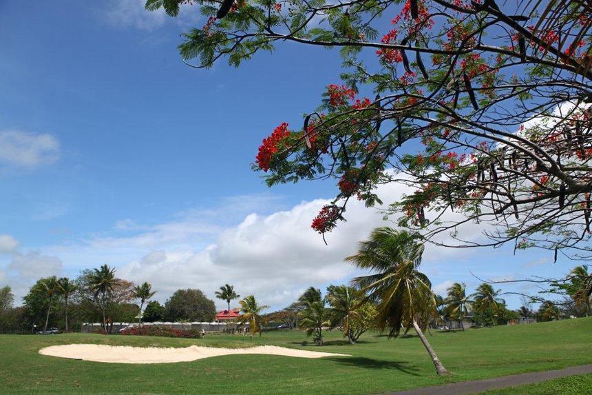 Le Golf de Saint-François Guadeloupe à l’honneur