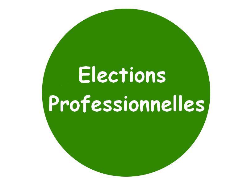 Elections Professionnelles - Profession de foi CFE CGC