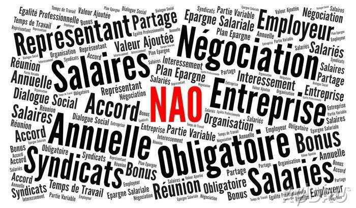 NÉGO CADRAGE SALARIAL GROUPE 2026 : R2